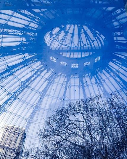 A window with dots on it so birds don’t crash into it. The sky is blue behind and there is a building and a bare tree. There is a reflection of a structure of a glass greenhouse dome.
