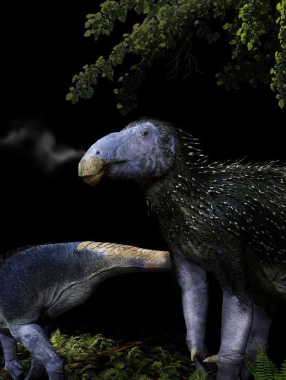 Illustration of the dinosaur described in the article. It has a robust blunt beak on its elongated head, claw-like spikes on its front legs, broad scales on top of its tail, and its back is covered in striped spines resembling those of porcupines. By Fabio Manucci.
