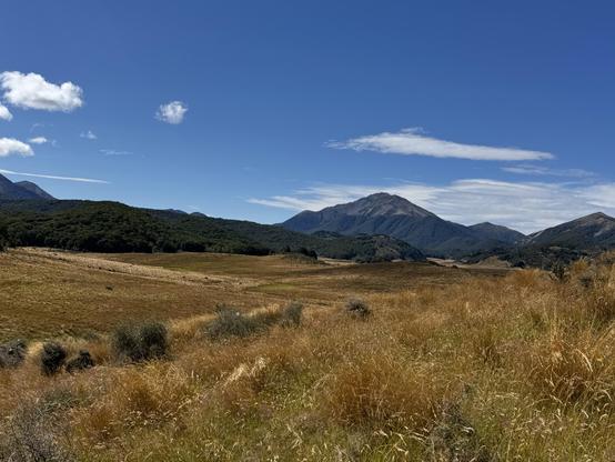 Sumpf mit Perspektive