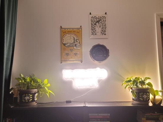 Photo of the wall above the top of two black bookshelves. There are two pothos plants in grey pots with crochet granny square wraps on top of the shelves. On the wall there is a small gallery of art: a yellow, red, black, and white screenprint of a skull, a woodblock print of a bird on a hand surrounded by vines, an amateur embroidery of a white skull on black fabric and a banner that reads "the only way out is through", and a LED "neon" sign that says "momento mori"