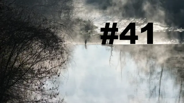 Un oiseau posé sur le bord d'une petite cascade sur un cours d'eau. Un arbre sur la gauche. Au-dessus de l'eau, des brumes de vapeurs. L'eau au premier plan semble sans mouvement, tandis qu'après la cascade le cours d'eau se transforme en torrent. Sur la droite le numéro de la chronique précédé d'un dièse.
