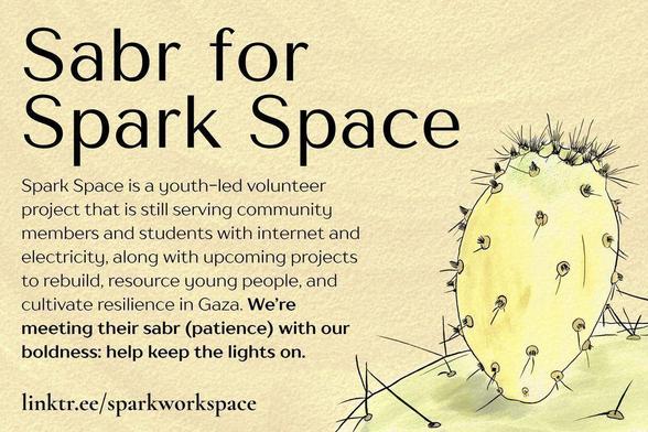 A golden graphic titled “Sabr for Spark Space.” The background has a watercolor effect. The text says: “Spark Space is a youth-led volunteer project that is still serving community members and students with internet and electricity, along with upcoming projects to rebuild, resource young people, and cultivate resilience in Gaza. We’re meeting their sabr (patience) with our boldness: help keep the lights on. linktr.ee/sparkworkspace.” Next to the text is an illustration of a cactus pear in yellow and green.