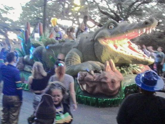 Charmera shots of the Oshun Mardi Gras parade.