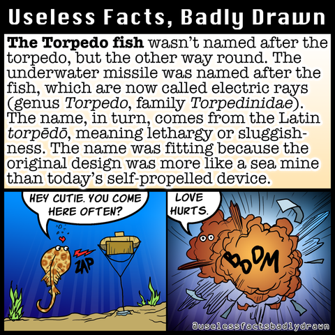 The Torpedo fish wasn't named after the torpedo, but the other way round. The underwater missile was named after the fish, which are now called electric rays (genus Torpedo, family Torpedinidae). The name, in turn, comes from the Latin torpēdo, meaning lethargy or sluggish-ness. The name was fitting because the original design was more like a sea mine than today's self-propelled device.
