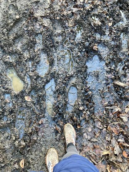 Von oben nach unten fotografiert: Blick auf einen sehr schlammigen Waldboden, es sind tiefe Fußspuren zu erkennen, in denen Wasser steht. Mittig am unteren Bildrand ragen meine Füße in dreckigen Trailschuhen und zum Teil mein rechtes Bein in kurzer blauer Sporthose mit Thermohose darunter ins Bild.