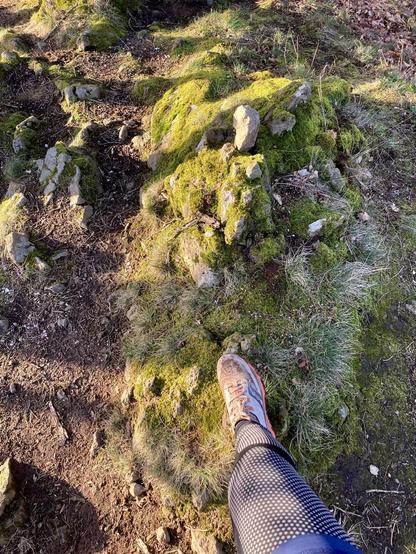 Von oben nach unten fotografiert: Blick auf einen trockenen Waldboden, auf dem vor allem geballt in der Mitte viele von Flechten/Moos bedeckte Steinbrocken liegen. Mein rechter Fuß in einem dreckigen Trailschuh sowie mein rechtes Bein in Thermohose ragen unten ca. mittig ins Bild, der Fuß steht auf dem kleinen Hügel aus Steinen. Von links strahlt Sonnenlicht auf den Boden, teils durch längliche Schatten von Bäumen durchbrochen.