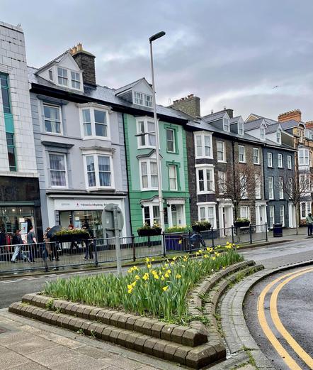 A street in Aberystwyth, lined by colorful terraced houses, with daffodils blooming in the foreground.