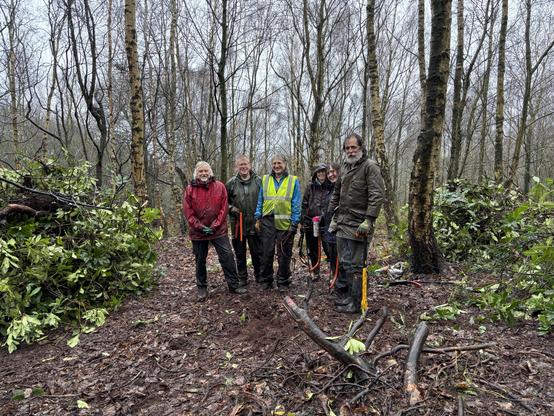 A few remaining wet volunteers standing proudly amongst the rhododendron they’ve cut and pile in a way to prevent regrowth in the woodland