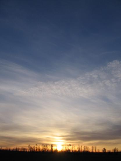 A photo of a sunset. The sky is deep blue at the top, and fades to a subtle yellow, then a violent gold right at the horizon, where the sun shines. Thin, whispy cirrus clouds are all that mar the sky. The horizon is silhouetted by trees. Taken with a Canon PowerShot A520.