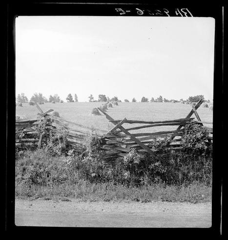 The black and white photograph displays a rural landscape with an old, dilapidated fence in the foreground. The broken wooden fence appears weathered and leans askew against tall grasses and sparse vegetation. In the background is a vast field extending towards treeline on the horizon under a clear sky. There are no visible human figures or animals; it captures a quiet moment of abandonment or disuse, possibly hinting at rural economic decline or neglect in farmland areas during certain historical periods. The scene conveys an atmosphere reminiscent of Dorothea Lange's work documented during the Great Depression era when many farmers faced financial hardship and land was left uncultivated due to crop failures or droughts.