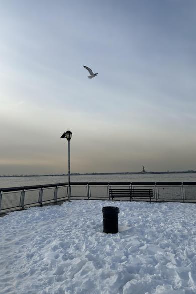 The view from Valentino Pier in Red Hook, Brooklyn, on a frigid winter afternoon. In the foreground is a black garbage can surrounded by a wide stretch of snow and ice that’s been broken up into shards by many boots. Beyond is a lamppost with a luminaire of shattered glass, and a bench facing away from camera towards the waters of New York Harbor seen through the pier guardrails. Very tiny on the horizon are the Statue of Liberty and a row of shipping cranes along the New Jersey shore. A seagull flies overhead in a pale sky streaked with luminous clouds.