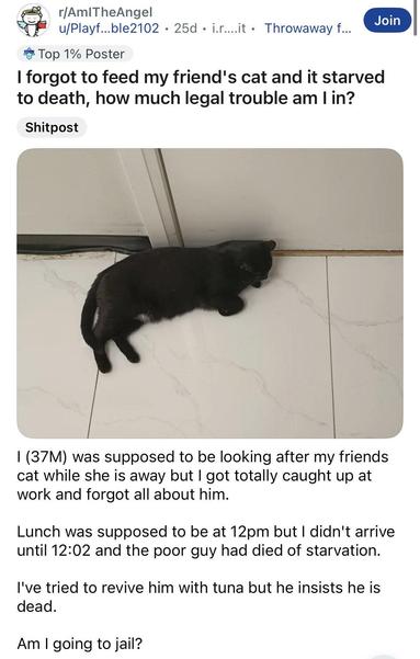 Long Description:

The image is a screenshot of a Reddit post from the subreddit "r/AmITheAngel." The post is titled "I forgot to feed my friend's cat and it starved to death, how much legal trouble am I in?" The top section shows the subreddit name and user information alongside Reddit-specific elements like a "Top 1% Poster" badge and a "Join" button. Below the title, there is a tag labeled "Shitpost."

The lower section of the image contains a photo of a black cat lying on its side on a white tiled floor near a wall. The cat appears relaxed and unharmed. Below the photo, there is a paragraph of text that resembles a personal story, accompanied by details about the poster's gender and age, and mentioning a lapse in feeding the cat on time.


Transcribed Text:

r/AmITheAngel
u/Playf...ble2102 • 25d • i r....it • Throwaway f...
Top 1% Poster
I forgot to feed my friend's cat and it starved to death, how much legal trouble am I in?
Shitpost

I (37M) was supposed to be looking after my friends cat while she is away but I got totally caught up at work and forgot all about him.

Lunch was supposed to be at 12pm but I didn't arrive until 12:02 and the poor guy had died of starvation.

I've tried to revive him with tuna but he insists he is dead.

Am I going to jail?