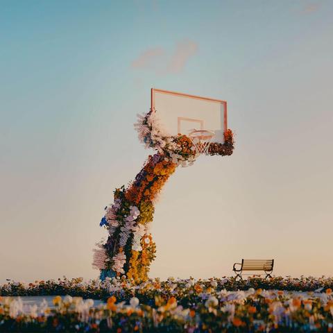A whimsical basketball hoop decorated with vibrant flowers emerges from a grassy field, beside a solitary bench under a clear sky.