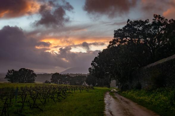 a rainy dirt road leading past a large stone wall enclosing a historic estate's grounds at the end of a stormy day with clearing skies at sunset