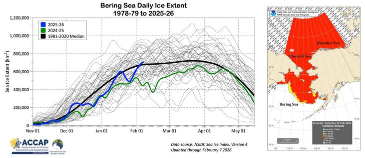 Left: Bering Sea daily sea ice extent 1978-79 to 2025-26 with the last two seasons and the smoothed 1991-2020 median highlighted. Right: NWS Alaska Region sea ice concentration analysis to February 7, 2026.