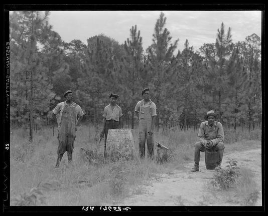 The photograph captures four individuals, presumably turpentine workers in a forested area. They are dressed in overalls and hats typical of manual laborers during the early to mid-20th century. One person is seated on what appears to be a barrel or bucket, while three others stand around him with various objects like buckets nearby, suggesting they may have been working. The trees behind them suggest a pine forest, likely where turpentine comes from as an organic product. The black and white nature of the photograph indicates it could be historical in context.