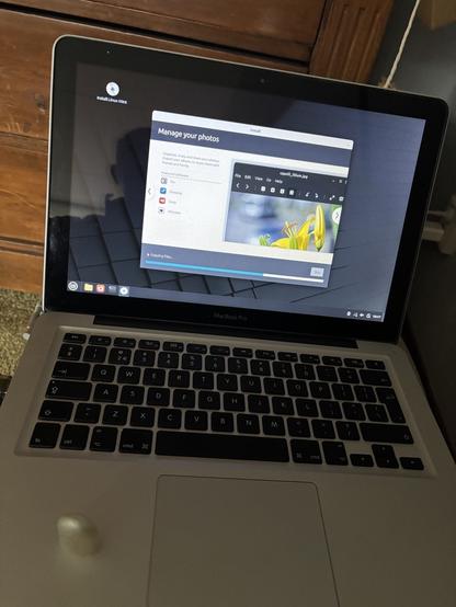 Apple MacBook while installing Linux mint.