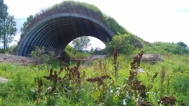 Photo taken of an old airplane hanger in a grassy field. It is covered in ground and grass, no doors and can be seen right through.