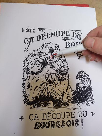 Une linogravure noire sur blanc et de style victorien avec un castor qui tient une brosse à dents et qui montre ses incisives. Il dit "si ça découpe du bois, ça découpe du bourgeois".
Avec un feutre orange, je suis en train de colorier les dents du mammifère.