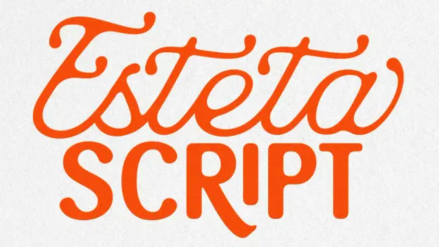 Esteta Script Font Duo by Letter Fresh Studio