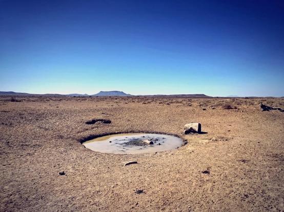 A small, muddy waterhole in a stony desert