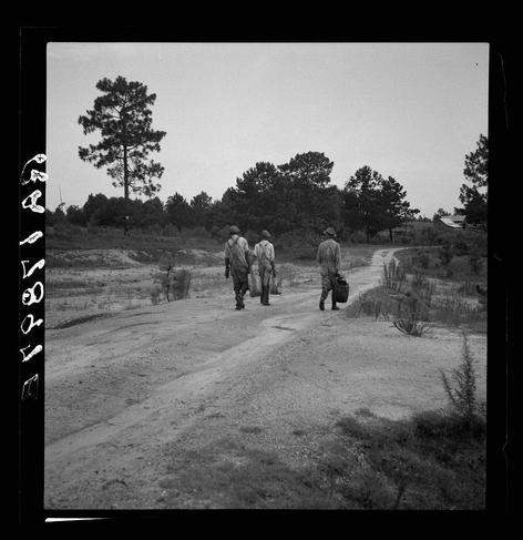 The black and white image captures three individuals walking along a dirt path in an open, rural landscape. The trio appears to be middle-aged men dressed in utilitarian clothing suitable for outdoor work; two are wearing what looks like overalls with rolled-up sleeves, while the third is clad entirely in darker attire including boots.

Each man carries something: one has his hands on hips and does not appear to have anything in his grasp. The second individual holds a large bag slung across their shoulder, perhaps containing personal items or tools of trade. The third person carries what seems like a jug, potentially for transporting water or other liquids needed during their activity.

The setting is sparse with small shrubs dotting the landscape and no significant foliage immediately surrounding them; however, in the background there are several tall pine trees standing against an overcast sky which suggests it may be late afternoon. The road on which they travel appears to be unpaved but well-trodden, indicating frequent use.

The image is marked with a border of symbols resembling icons or glyphs that could possibly represent different types of media devices or communication tools, adding context or meaning beyond the visual elements within this photograph.