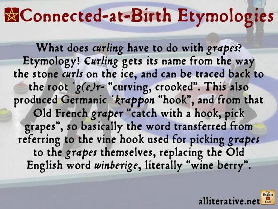 What does curling have to do with grapes? Etymology! Curling gets its name from the way the stone curls on the ice, and can be traced back to the root *g(e)r- “curving, crooked”. This also produced Germanic *krappon “hook”, and from that Old French graper “catch with a hook, pick grapes”, so basically the word transferred from referring to the vine hook used for picking grapes to the grapes themselves, replacing the Old English word winberige, literally “wine berry”.