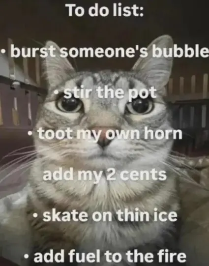 To do list:
• burst someone's bubble
• stir the pot
• toot my own horn
• add my 2 cents
• skate on thin ice
• add fuel to the fire

in the background is a cat staring into your soul