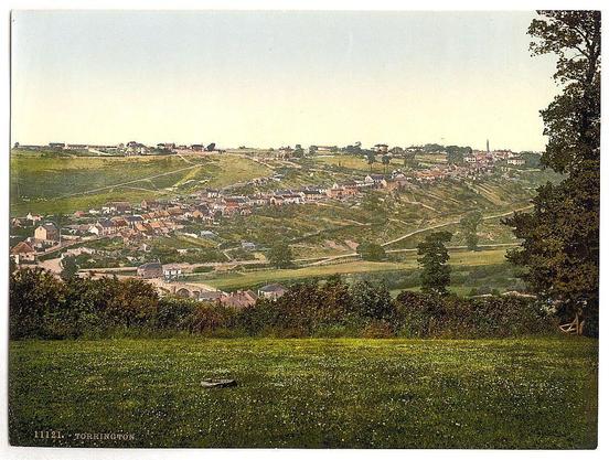 This image depicts a panoramic view of the town of Torrington in Devon, England. It is rendered as if painted with warm tones and soft edges that suggest its age or style of reproduction. The foreground shows an expansive field blanketed in greenery dotted with white wildflowers. In the mid-ground, there's a mix of cultivated fields leading up to terraced vineyards which are characteristic of wine-producing regions like Devon.

The town is visible across these undulating hillsides; it appears as a collection of various houses and buildings scattered throughout its landscape. The architecture suggests a quaint European village with an assortment of styles likely indicative of different periods, perhaps some dating back centuries given the historical context provided by the image's metadata stating 'General view Torrington England between ca 1890 - ca 1900'. Notably absent are modern elements such as cars or contemporary infrastructure.

The sky is a pale blue with soft clouds suggesting it could be early morning or late afternoon. A solitary tree partially frames the right edge of this picture, providing depth and perspective to the scene. The overall composition offers a serene depiction that harkens back to simpler times in British rural life from over a century ago.