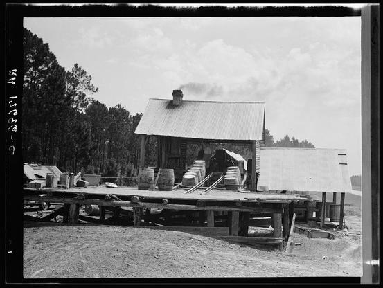 The image is a black and white photograph depicting an outdoor rural setting. It features what appears to be the remnants of an old, abandoned structure with corrugated metal roofing. The building has visible wear and tear, including exposed nails or fasteners on its exterior wall.

In front of this structure stands a large wooden platform constructed from planks laid horizontally across upright supports. Upon this platform lies various items that suggest human activity; these include barrels, buckets, possibly tools, and other miscellaneous objects scattered about haphazardly. The ground appears to be unpaved dirt or gravel with patches of grass sporadically sprouting through.

In the background, there are tall pine trees indicative of a forested area known as the Piney Woods near Valdosta, Georgia. Above, the sky is partially cloudy but allows sufficient daylight to illuminate the scene.

The image carries an air of decay and neglect, hinting at abandonment or disuse over time. The overall atmosphere evokes a sense of historical rural life in America's South during periods where such structures were commonplace for agricultural or industrial purposes like turpentine production.