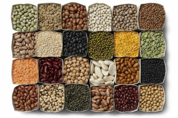 Diferentes tipo de legumbres que se comen en diversas partes del mundo.