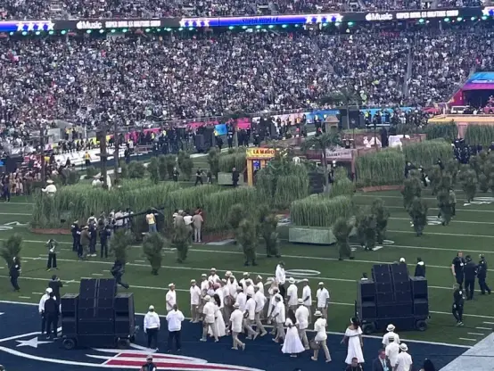 Superbowl halftime show. Some people are dressed as trees or something, like Malcolm's army.