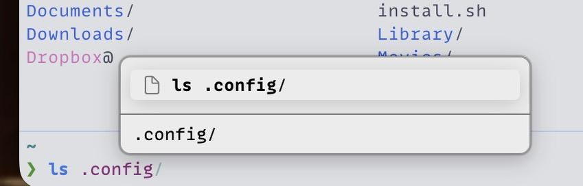 A computer screen shows the terminal displaying the command "ls .config/" and its output showing the ".config" directory.