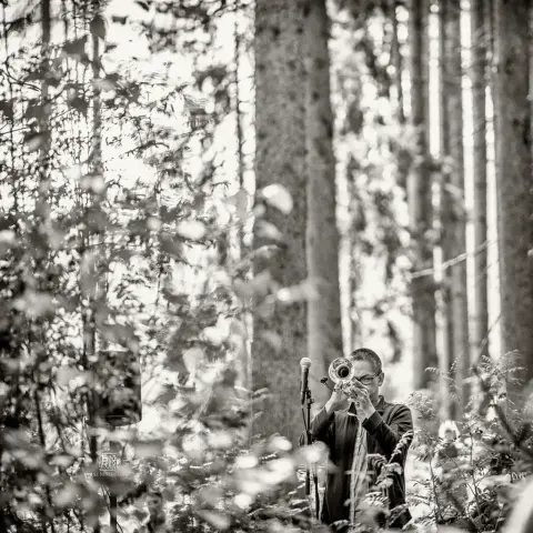 Cuong Vu - Frank Schindelbeck Fotografie