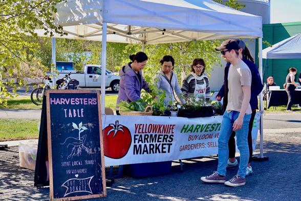 Your garden-grown veggies in Yellowknife are safe, study concludes