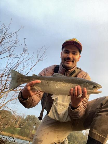 First wild ocean-run steelhead today