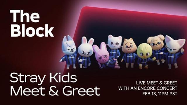 260211 Stray Kidsは2月14日午後4時（KST）にRobloxでライブミート＆グリートを開催します