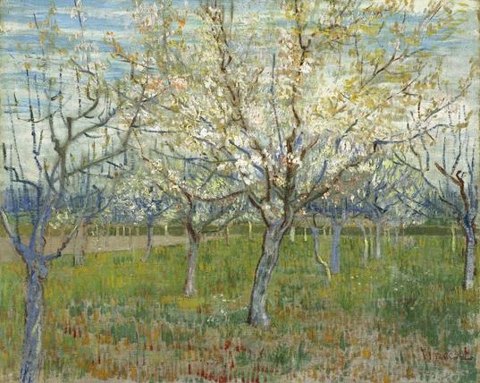 The pink orchard by Vincent van Gogh, 1888