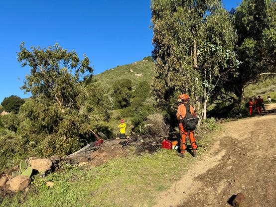 CalFire firemen dressed in orange, red and yellow are working on extinguishing a fire on a steep mountainside on Cerro San Luis (Madonna Mountain) in San Luis Obispo. The fire was adjacent to a wide dirt trail which is wet from the water used to extinguish the fire. There is green brush, prickly pear cacti and eucalyptus trees at the fire location, and there had been a pile of dead debris as well which made for an extensive mop-up. The sky is a bright blue. San Luis Obispo, California.