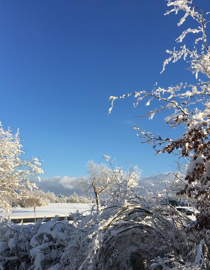 A deep blue winter sky arches over a snow-covered meadow, ditto garden bushes and trees, and the edge of a forest. Powerful gray clouds are gathering low over the horizon.