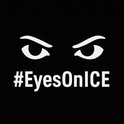 A black graphic with two stylized white eyes near the top and a hashtag phrase underneath. The eyes look narrowed, like a suspicious expression.

#EyesOnICE

Image description provided with Be My Eyes.