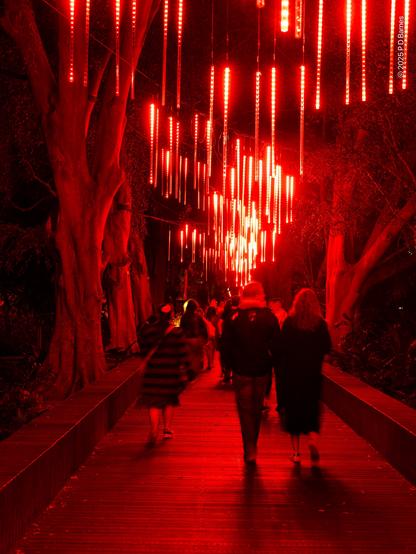 Illuminated walkway in the gardens