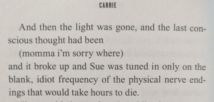 A cropped photograph of a page from Stephen King's Carrie. It reads:

And then the light was gone, and the last conscious thought had been

(momma i'm sorry where)

and it broke up and Sue was tuned in only on the blank, idiot frequency of the physical nerve endings that would take hours to die.