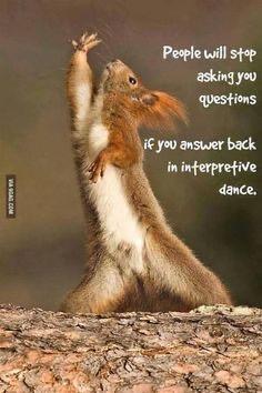 Picture a squirrel in a John Travolta style dance pose , the caption reads:
“People will stop asking you questions if you answer back in interpretive dance! “

Credit: DDG find.
