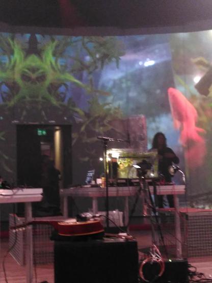 An aquarium with plants and fishes in the middle of a music venue. A camara next to the aquarium is filming and projecting the shot on the backgroun, revealing a fish swimming up.