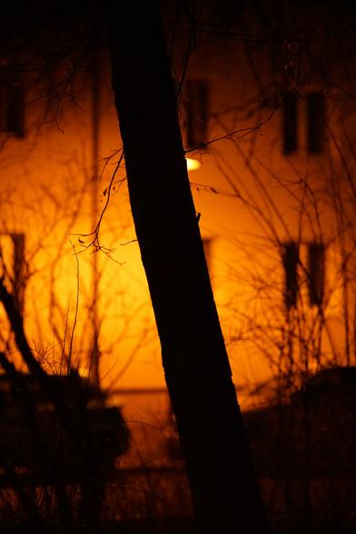 Baumstamm, rückwärtig beleuchtet von einer Straßenlaterne - viel gelb-rotes Licht und tiefe Schatten