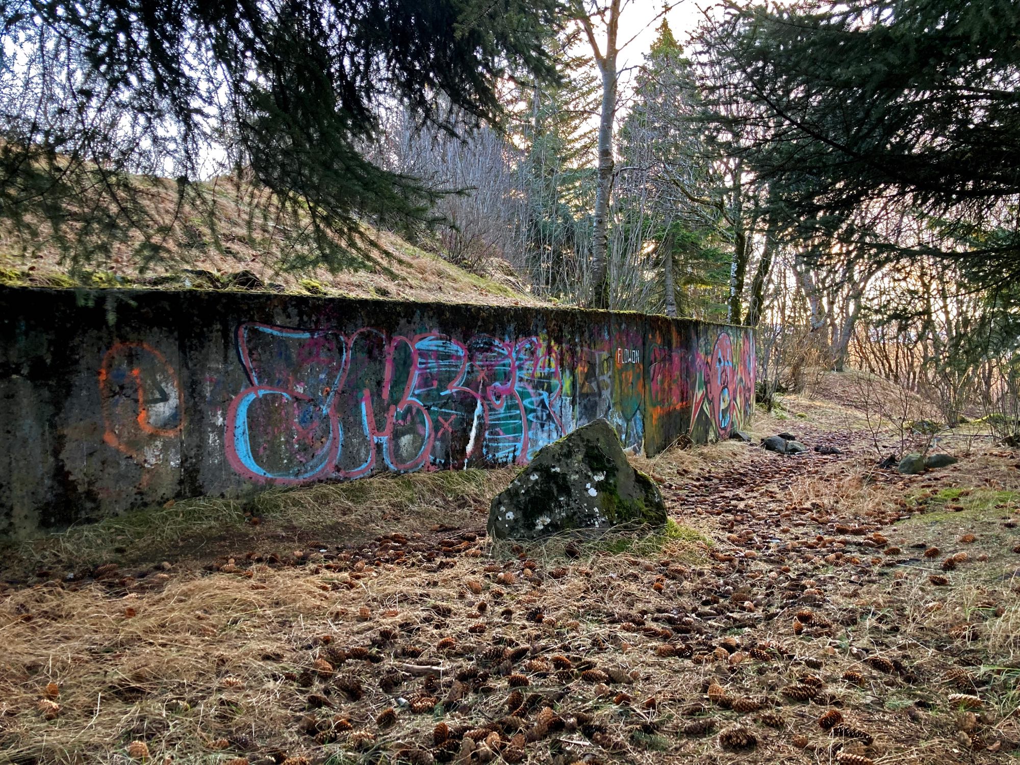 An old wall covered with graffiti and surrounded by trees.