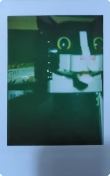 LEGO Tuxedo Cat with fake Light Leak on top left that has that slight brown-ish tint.