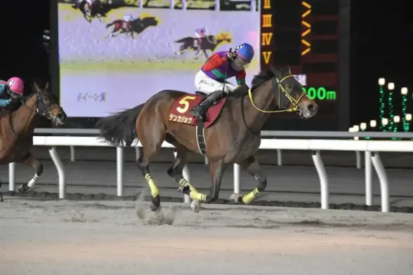 【船橋競馬　クイーン賞】テンカジョウ　大外突き抜け重賞4勝目　松山弘平「非常に強かった」 - スポニチ Sponichi Annex ギャンブル