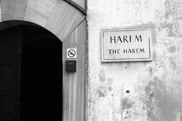The Topkapi Palace harem, a secluded section of the iconic Topkapi Palace in Istanbul, served as the private quarters for Ottoman rulers and their families. Dating back to the 16th century, it housed the sultan's wives, concubines, and children.

Black and white image that is divided in half and cropped to give a minimalistic, more abstract look. The right side is a white wall that is losing its paint, showing gray patches underneath. There is dirty white sign with chipped paint for the thin border and for the text in capital letters saying, "HAREM  THE HAREM."

The left side of the image features a dark black arched entrance to the Harem. It has a thick marble tile frame, and on the frame is a "no smoking" icon. Below the no smoking sign is a black entrance device.